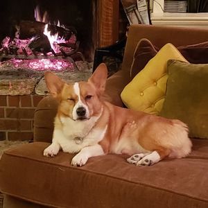 Meet your Posher, Ken